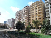Project Picture